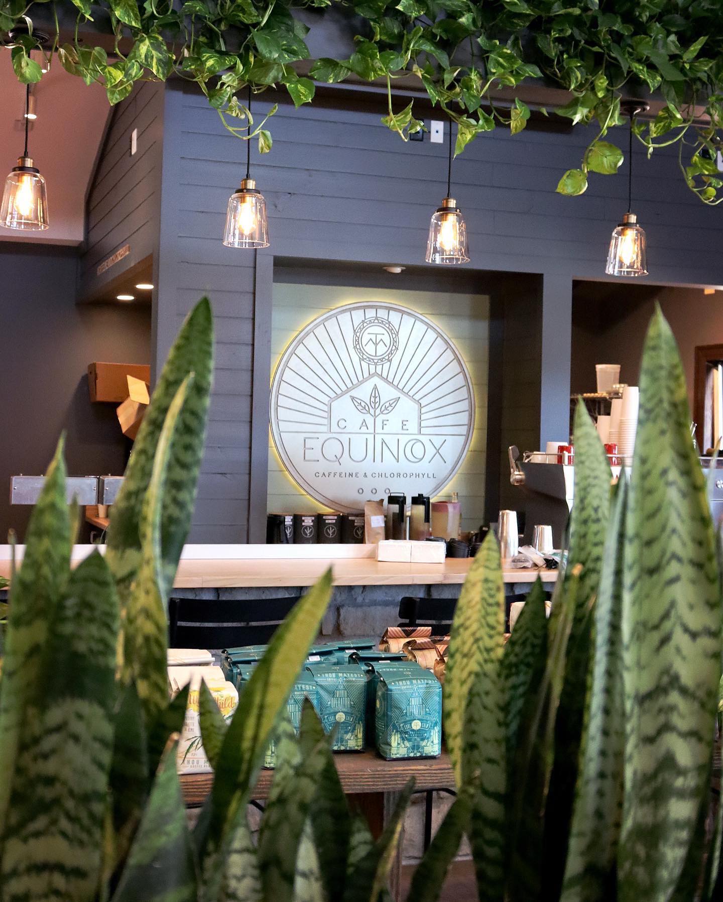 Cafe Equinox Counter